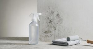 Studio-Stillleben: schlichte Sprühflasche befeuchtet Wandpaneel mit Schimmelflecken, daneben Mikrofasertuch und Lackierrolle, viel Negativraum.