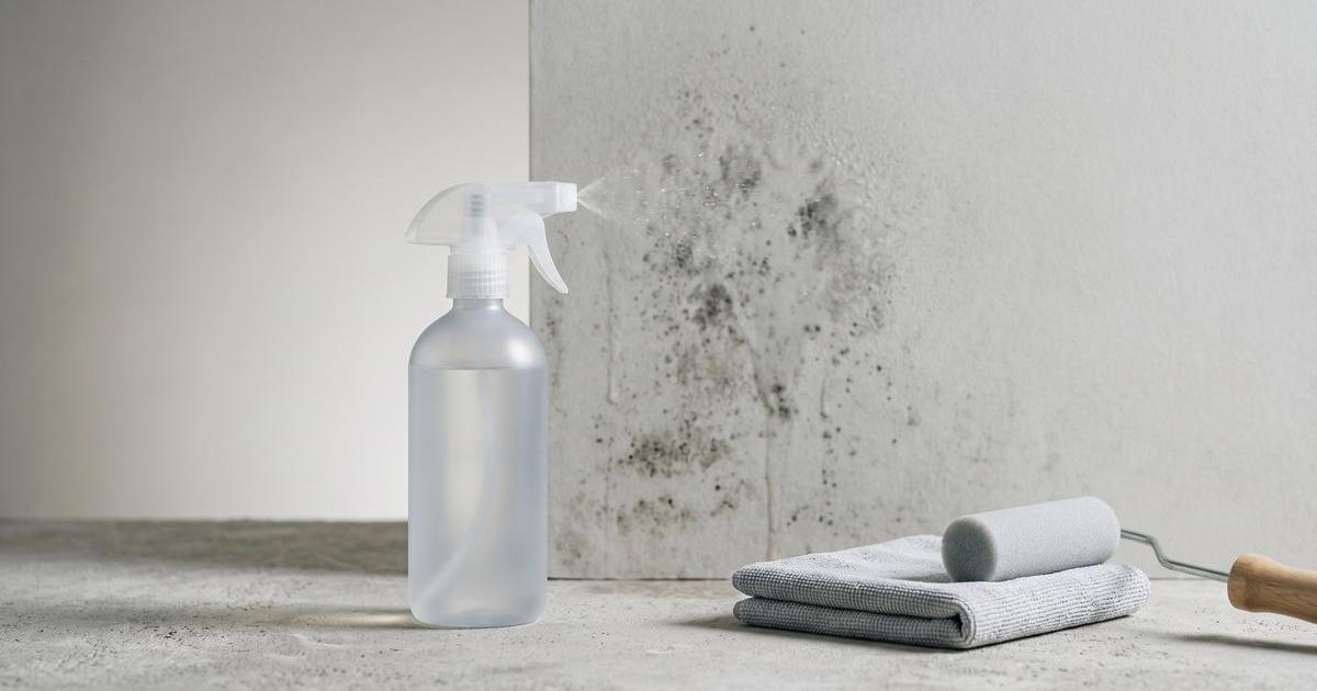 Studio-Stillleben: schlichte Sprühflasche befeuchtet Wandpaneel mit Schimmelflecken, daneben Mikrofasertuch und Lackierrolle, viel Negativraum.