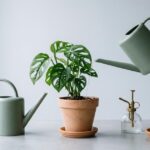 Keramik Gießkanne gießt eine Monstera im Tontopf, daneben Pflanzensprüher und Ton Untersetzer in einem pastellfarbenen Studio Setup.